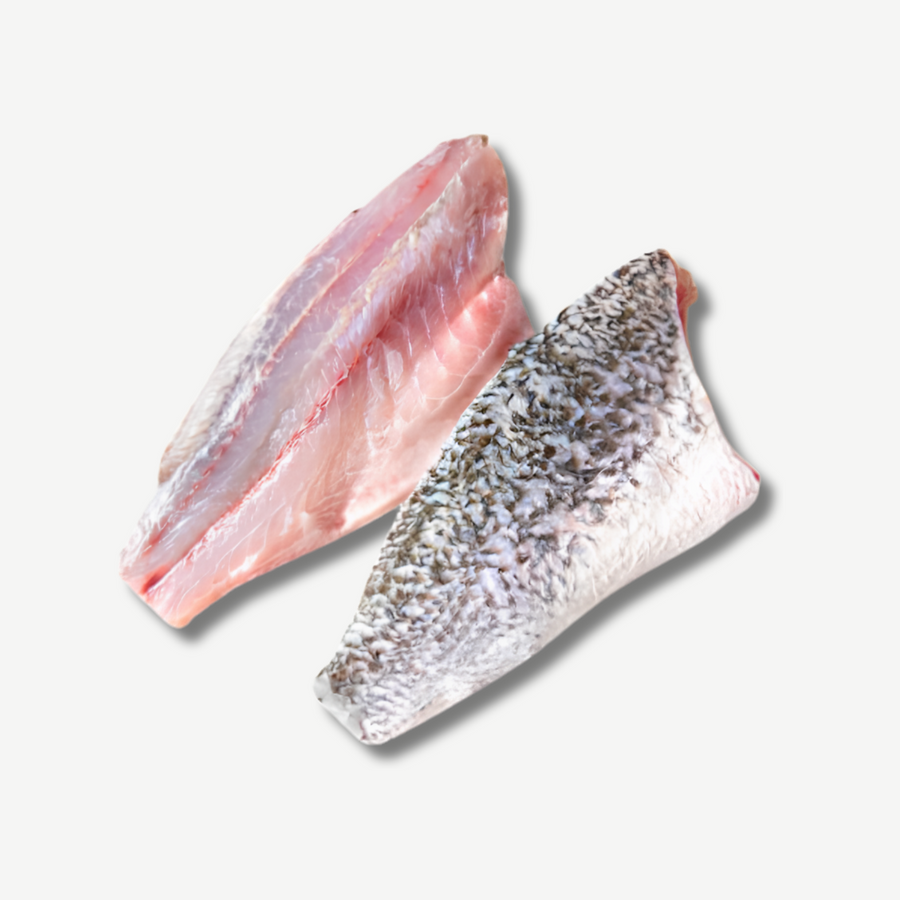 Frozen Barramundi Fillet, Skin-on delivered in Hong Kong