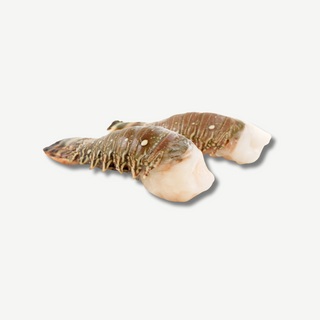 Frozen Wild Lobster Tail, 2 pcs, pack of 250g-300g