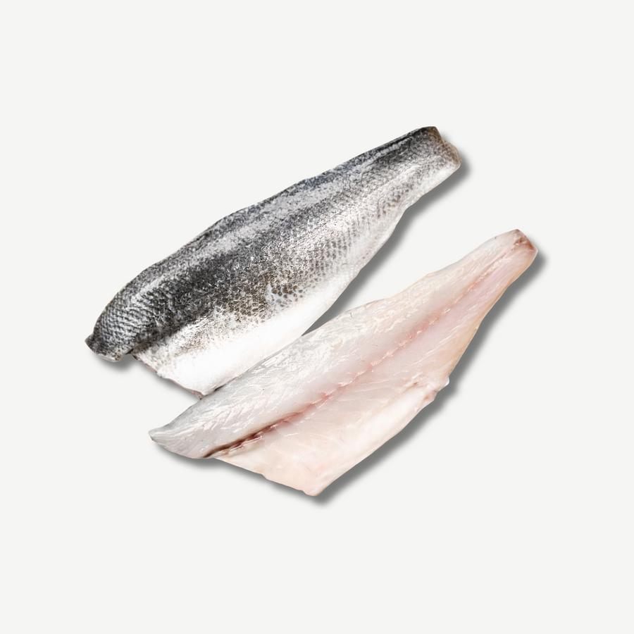 Frozen Farmed Sea Bass Fillet delivered in Hong Kong