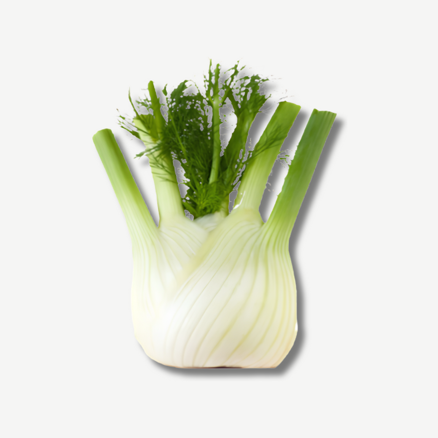Fennel, piece of 300g-400g