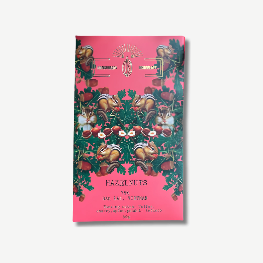 Hazelnuts Chocolate Bar, pack of 50g